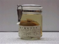藏品(一點蝴蝶魚)的圖片